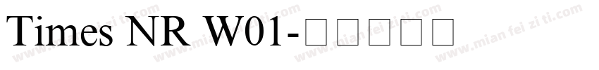 Times NR W01字体转换